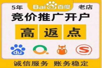 SEM广告投放策略：成功案例解析